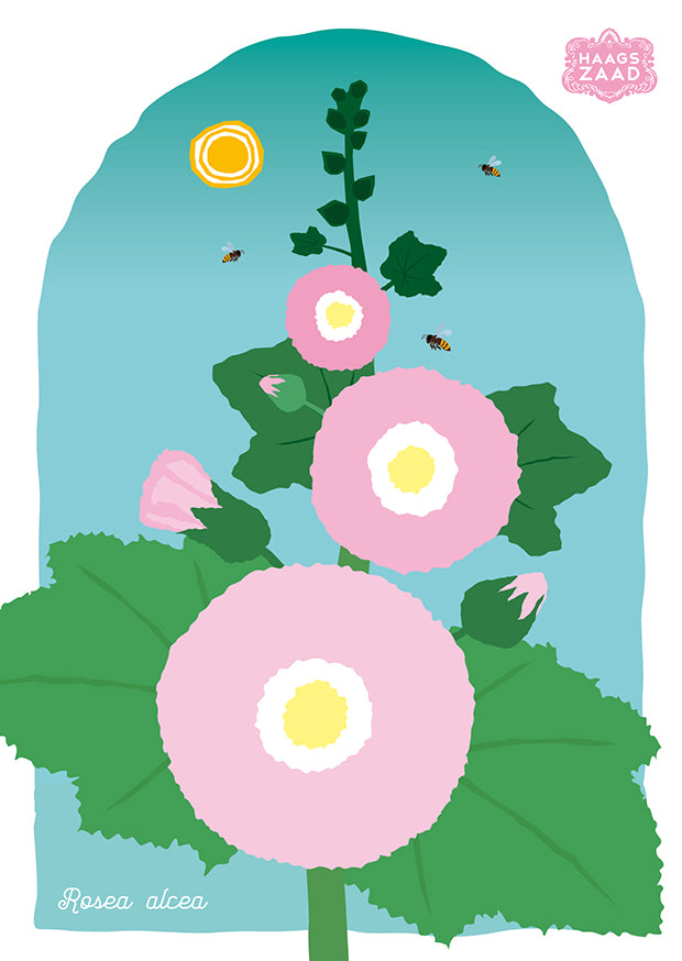 zaadkaart Stokroos II