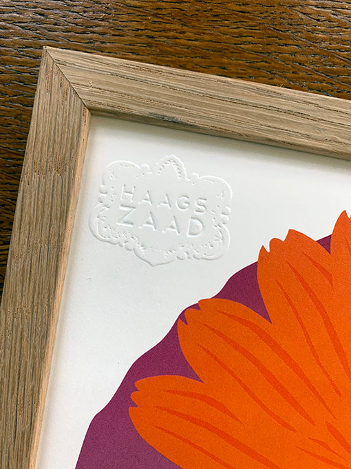 A4 print Goudsbloem - Calendula officinalis