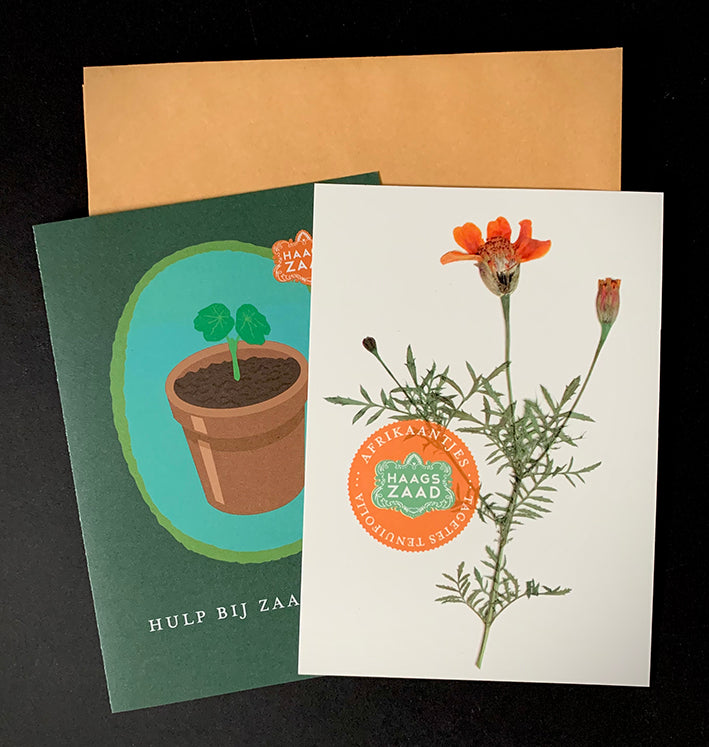 Haags Zaad Doosje - De Herbarium Collectie - prijs inclusief verzenden
