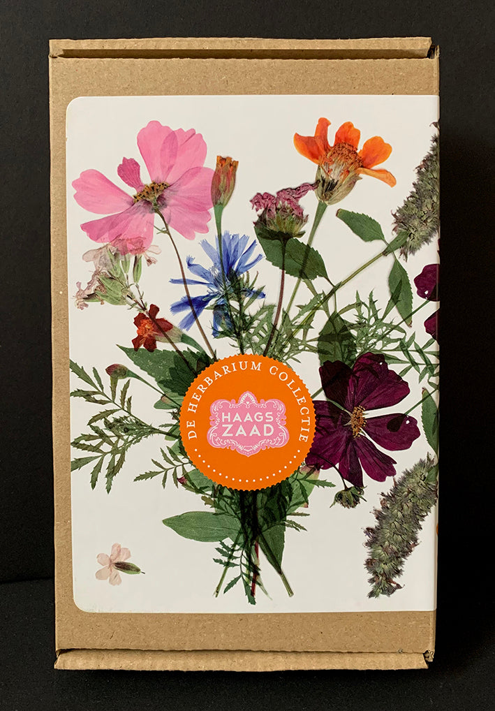 Haags Zaad Doosje - De Herbarium Collectie - prijs inclusief verzenden