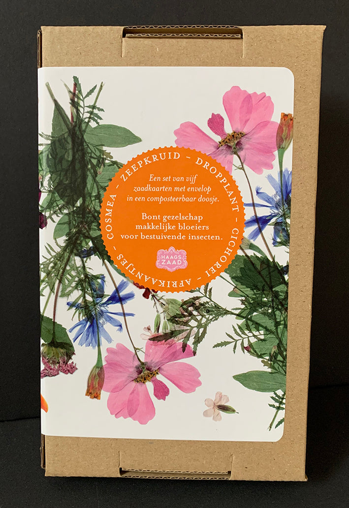 Haags Zaad Doosje - De Herbarium Collectie - prijs inclusief verzenden
