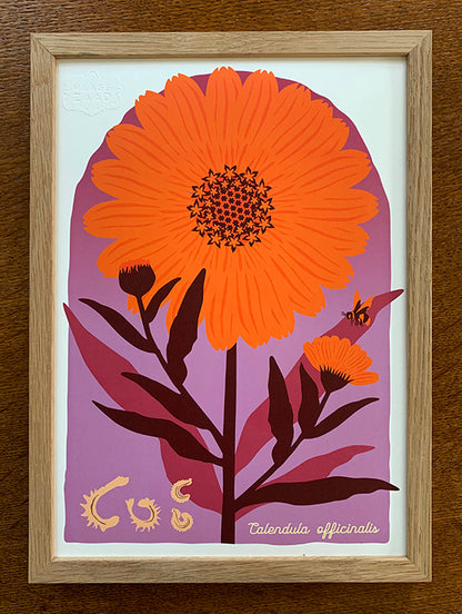 A4 print Goudsbloem - Calendula officinalis